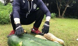 林州吃瓜网红爆料,揭秘当地美食背后的故事