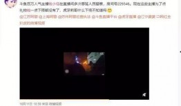 杨爸爆料视频完整版下载,揭秘事件真相与幕后黑幕