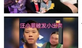 葛斯齐爆料视频,事件背后惊人真相