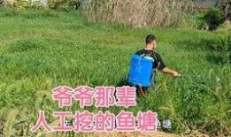 壮乡小莫被爆料视频,揭秘视频背后的故事